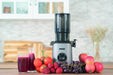 EAN 4011689782756 - Unold 78275 SLOW JUICER Sam Exprimidor lenta 300 W Carbón vegetal imagen 14