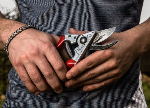 EAN 0783929100067 - Felco 8 tijeras de podar Anvil Rojo imagen 2