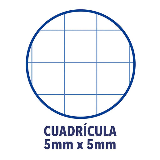 EAN 8412771002831 - Oxford Europeanbook 1 cuaderno y block A4+ 80 hojas Azul imagen 2