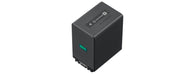 EAN 4905524995954 - Sony NP-FV100A batería para cámara/grabadora 3410 mAh imagen 2