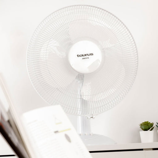 EAN 8414234446817 - Taurus GRECO 16 Blanco imagen 2