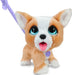 EAN 0886144280573 - FurReal Poop-a-lots Corgi imagen 1