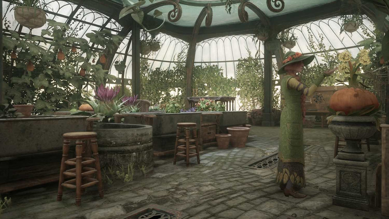 EAN 5051892254922 - Warner Bros Hogwarts Legacy De lujo Plurilingüe Nintendo Switch 2 imagen 6