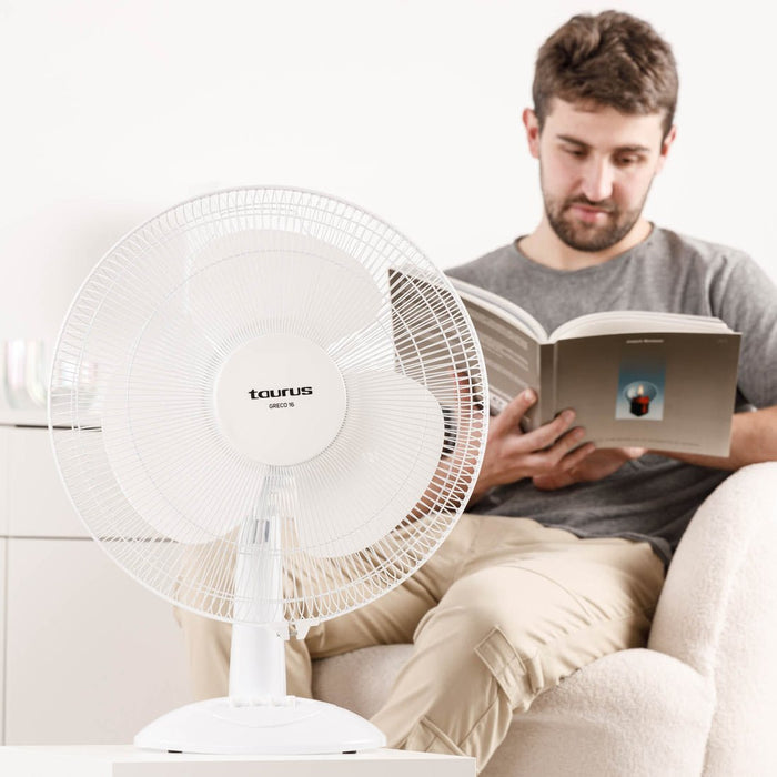 EAN 8414234446817 - Taurus GRECO 16 Blanco imagen 5