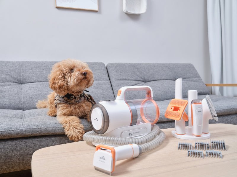 EAN 8590393366453 - Eta PetMaster Gato / Perro Aspiradora + cortadora de pelo imagen 15