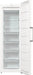 EAN 3838782638824 - Gorenje FN619EEW5 Congelador vertical Independiente 280 L E Blanco imagen 5