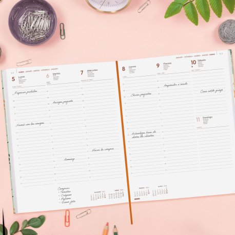 EAN 8422952405825 - Finocam 624042226 agenda Agenda diaria Verde imagen 4