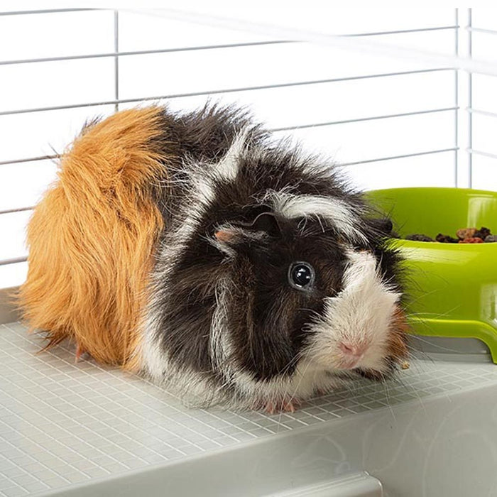 EAN 8010690206363 - Ferplast Casita 80 Cobaya Negro, Blanco imagen 4