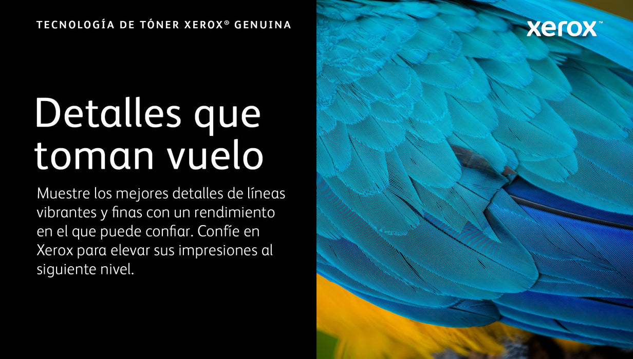 EAN 95205038576 - Xerox 006R04668 cartucho de tóner 1 pieza(s) Original imagen 3