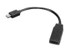 EAN 0887037753167 - Lenovo 0B47089 adaptador de cable de vídeo 0,2 m Mini DisplayPort HDMI Negro imagen 1
