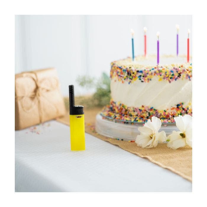 EAN 3086123643345 - BIC EZ Reach imagen 6