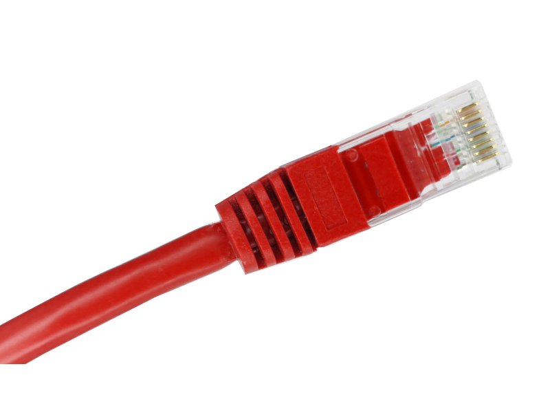 EAN 5901738558564 - Alantec KKU5CZE0.25 cable de red Rojo 0,25 m Cat5e U/UTP (UTP) imagen 2