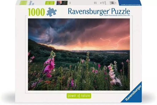 EAN 4005555007937 - Ravensburger 12000793 Puzzle rompecabezas 1000 pieza(s) Otro imagen 1