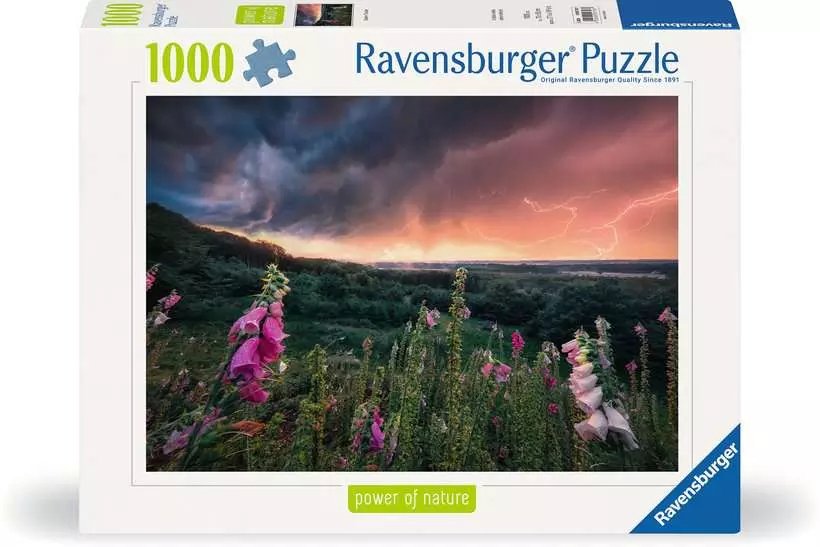 EAN 4005555007937 - Ravensburger 12000793 Puzzle rompecabezas 1000 pieza(s) Otro imagen 1
