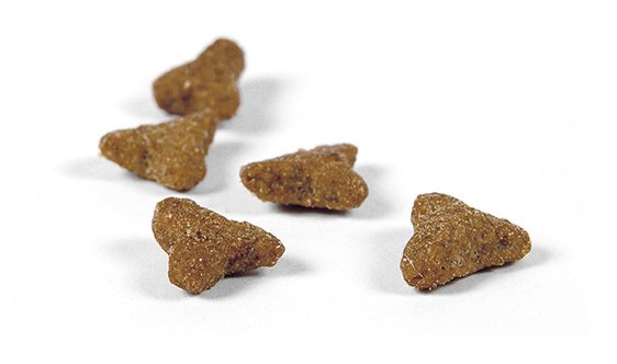 EAN 4032254749042 - Josera 9610 alimento seco para gatos 10 kg Adulto Pato, Patata, Aves imagen 2