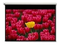 EAN 5060059042203 - Optoma Pantalla 16:9 2656 x 1494mm pantalla de proyección 3,05 m (120") imagen 1