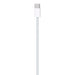 EAN 0194253494850 - Apple MQKJ3ZM/A cable USB 1 m USB C Blanco imagen 1