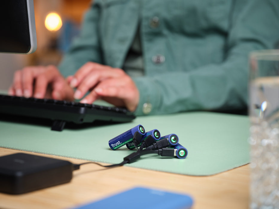 EAN 8713439256314 - Trust 25631 pila doméstica Batería recargable AA imagen 6