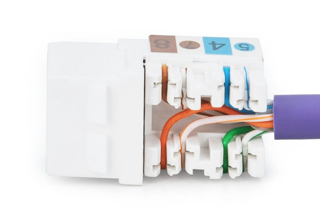 EAN 4016032245100 - Digitus DN-93601 módulo de conector de red imagen 8