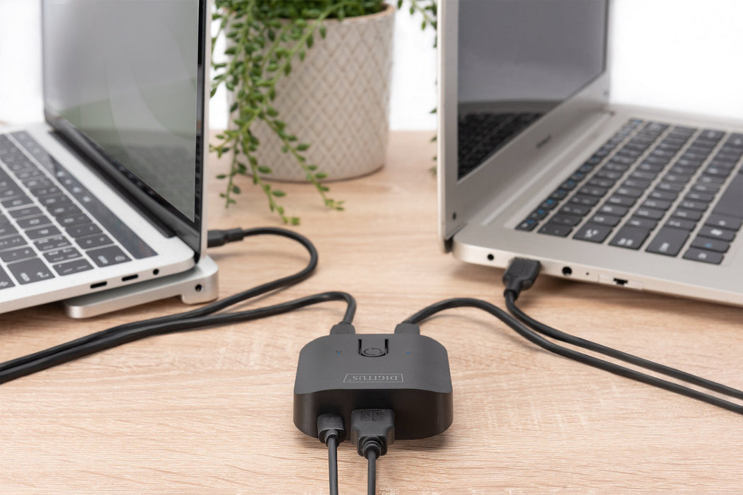 EAN 4016032480556 - Digitus DA-73300-2 interruptor automatizado imagen 2