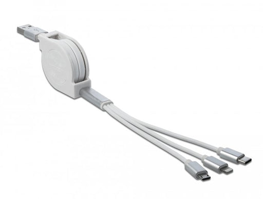 EAN 4043619858507 - DeLOCK 85850 cable USB USB 2.0 0,98 m USB A USB C/Micro-USB B/Lightning Plata, Blanco imagen 1