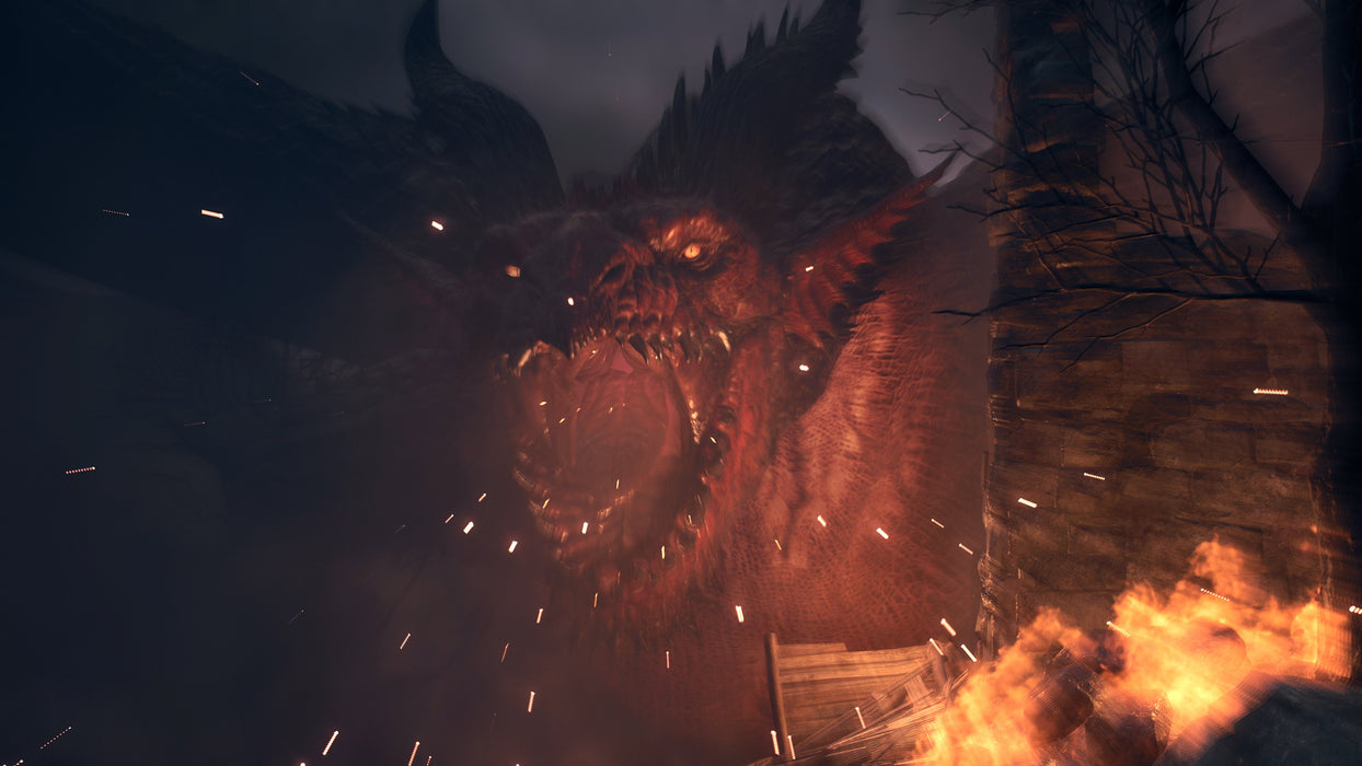 EAN 5055060954096 - Capcom Dragon's Dogma 2 Estándar Inglés PlayStation 5 imagen 5