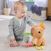 EAN 0194735254262 - Fisher-Price HYR54 juguete de peluche imagen 3