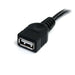 EAN 0065030840804 - StarTech.com USBEXTAA10BK cable USB USB 2.0 3 m USB A Negro imagen 3