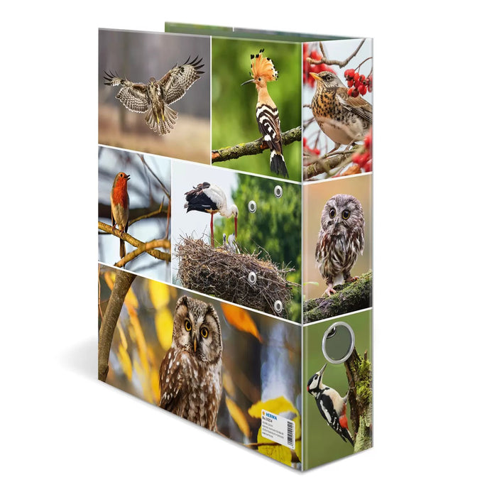 EAN 4008705192545 - HERMA 19254 carpeta de cartón A4 Multicolor imagen 4