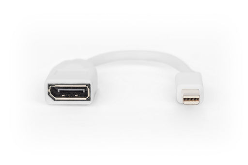 EAN 4016032292432 - Digitus DB-340405-001-W cable DisplayPort 0,15 m Mini DisplayPort Blanco imagen 2