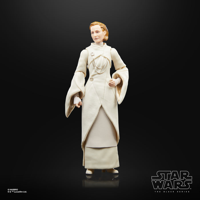 EAN 5010994179328 - Star Wars The Black Series F55305X0 toy figure imagen 9