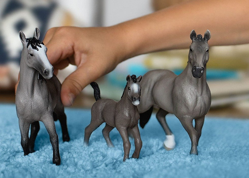 EAN 4059433552255 - schleich HORSE CLUB 13955 figura de juguete para niños imagen 2