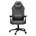 EAN 4710483779244 - COUGAR CGR-EPF-ROG Silla para videojuegos universal Gris imagen 1