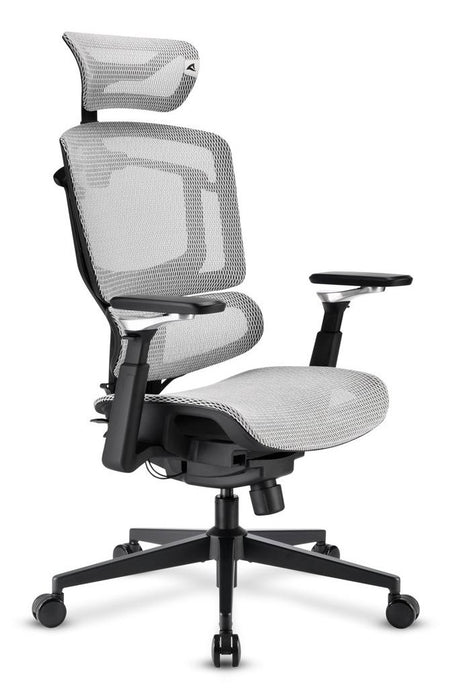 EAN 4044951045051 - Sharkoon OfficePal C50M Asiento acolchado Respaldo de rejilla imagen 2