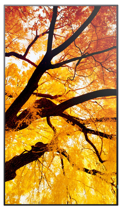 EAN 4550556130974 - Sharp MultiSync M552 Pantalla plana para señalización digital 139,7 cm (55") LCD 550 cd / m² 4K Ultra HD  imagen 3