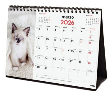 EAN 8422952402268 - Finocam 780323826 calendario Mesa imagen 4
