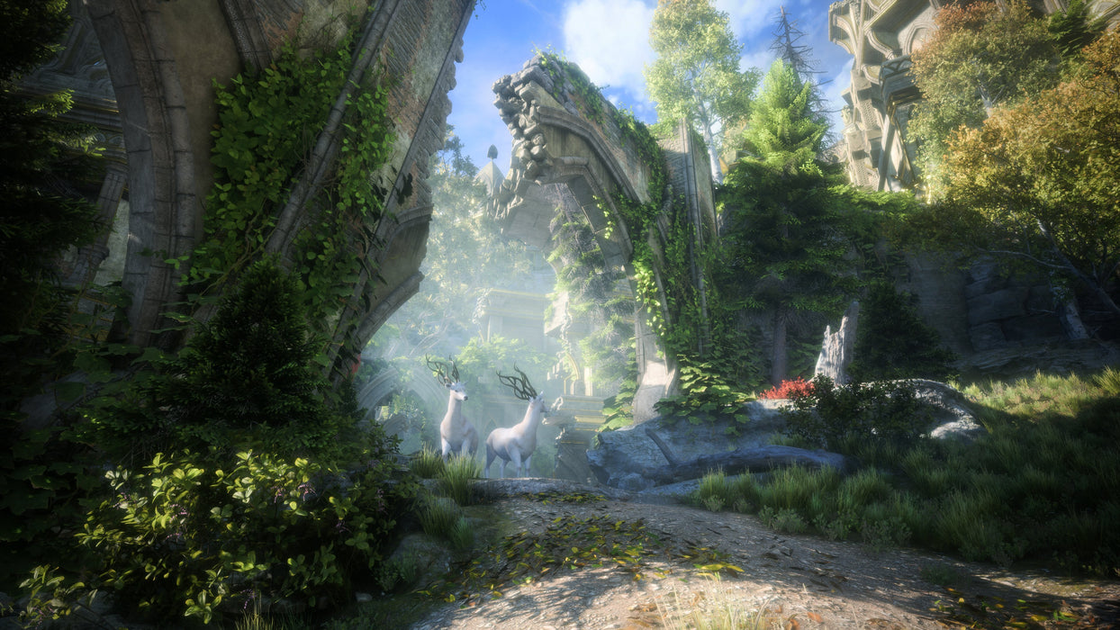 EAN 5030940124400 - Electronic Arts Dragon Age: The Veilguard Estándar PlayStation 5 imagen 2