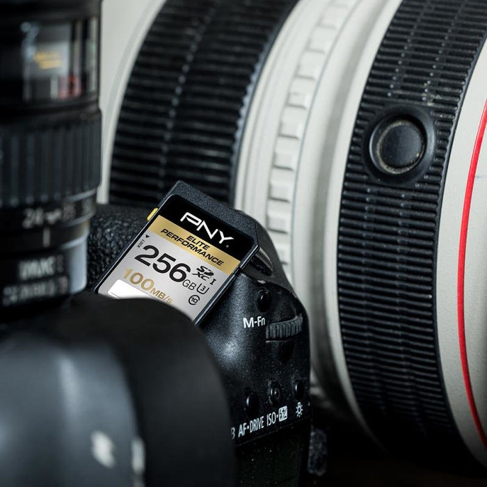 EAN 3536401537090 - PNY 256GB SDXC class 10 UHS-I Clase 10 imagen 4