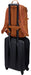 EAN 0085854257183 - Thule EnRoute TEBP4216 Natural orange mochila Mochila informal Naranja Nylon imagen 10