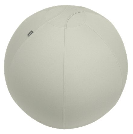 EAN 4002432134762 - Leitz Ergo pelota de ejercicios Gris imagen 1
