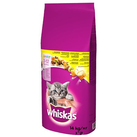 EAN 5900951014369 - ‎Whiskas 5900951014369 alimento seco para gatos 14 kg Gatito Pollo imagen 1