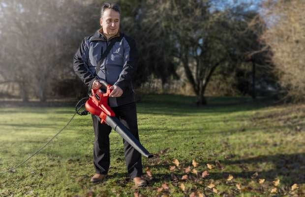 EAN 4006825629651 - Einhell GC-EL 3000 E 3000 W 300 kmh imagen 2