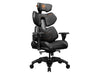 EAN 4710483773310 - COUGAR Gaming CGR-TER Silla para videojuegos universal Asiento acolchado Negro imagen 1