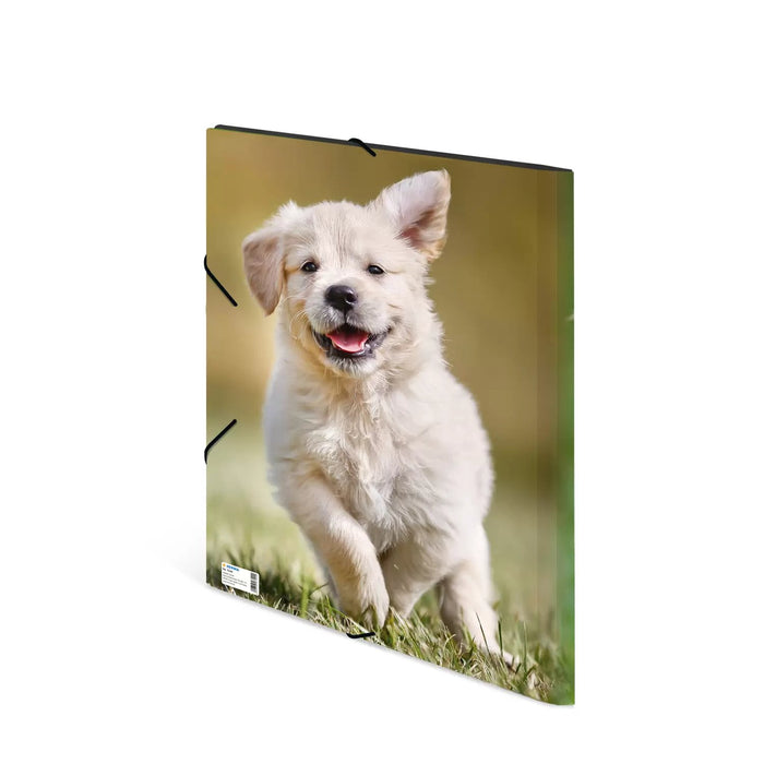 EAN 4008705071444 - HERMA 7144 carpeta Polipropileno (PP) Multicolor A3 imagen 3