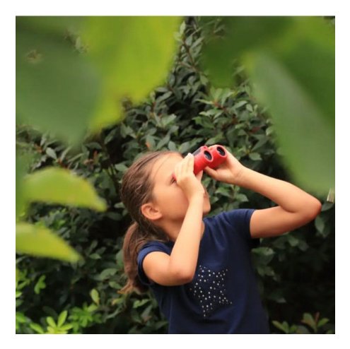 EAN 3760265542581 - Kodak BCS100 binocular Techo Rojo imagen 9