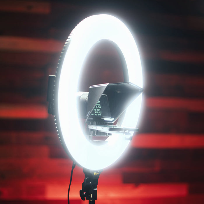 EAN 0847983032358 - ikan HomeStream imagen 9