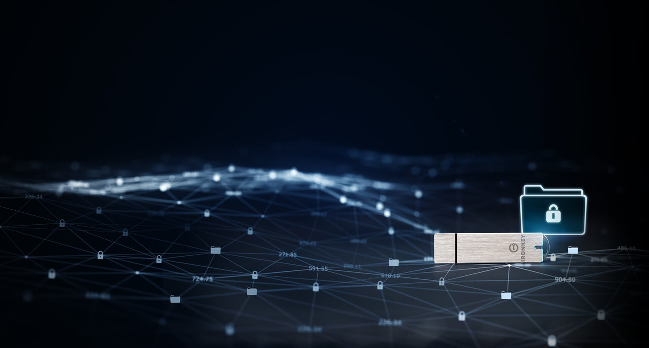 EAN 740617255225 - Kingston Technology IronKey S1000 unidad flash USB USB tipo A 3.2 Gen 1 (3.1 Gen 1) Plata imagen 12