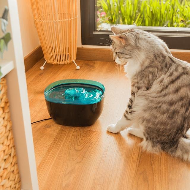 EAN 8435484095617 - Cecotec Pumba 2200 Refresh comedero y bebedero para perro y gato Plástico Negro, Azul Universal Bebedero  imagen 10