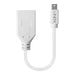 EAN 4002888410212 - Lindy 41021 cable DisplayPort 0,15 m Mini DisplayPort Blanco imagen 2