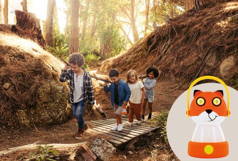 EAN 4004005035216 - Schwaiger CALF100 511 linterna de camping Linterna de camping a pilas imagen 7